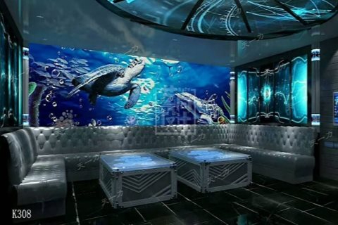 双鸭山小时场ktv，畅享独特玩法-宝山区ktv预定